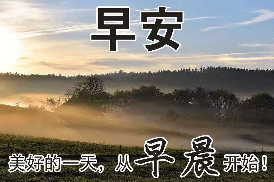 支付寶撒幣15億引發(fā)全民“薅羊毛”，民間文案真是哈哈哈哈哈